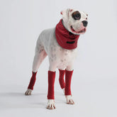 Leg Warmer and Earmuff Protector Set - Red