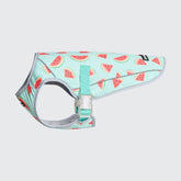 Dog Cooling Vest - Watermelon