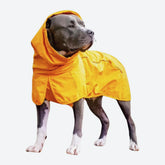 Breatheshield™ Dog Raincoat - Mustard Yellow
