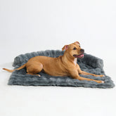 Calming Fluffy Couch Cover Dog Bed - Grey