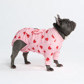 Dog Surgical Suit - Pink Hearts