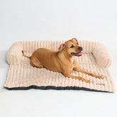 Luxury Couch Cover Dog Bed - Beige