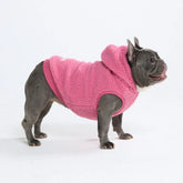 Teddy Sherpa Dog Jackets