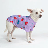Sunblock Dog T-Shirt - Berries