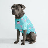 Sunblock Dog T-Shirt - Flamingo