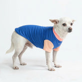 Sunblock Dog T-Shirt - Blue Hawaiian
