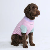 Sunblock Dog T-Shirt - Gelato