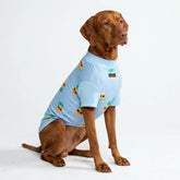 Sunblock Dog T-Shirt - Pineapple
