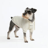 Essential Dog Hoodie - Oatmeal Heather