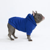 Essential Dog Hoodie - Midnight Blue