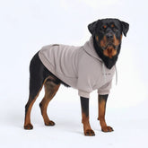 Essential Dog Hoodie - Clay