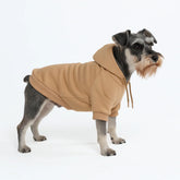 Essential Dog Hoodie - Caramel
