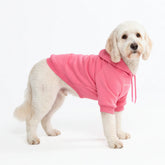 Essential Dog Hoodie - Blush Pink