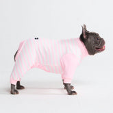 Dog Pajama - Pink Stripes