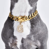 Initial Letter Jewelry Tag - G