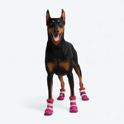 Flex Shell Waterproof Dog Boots - Fuchsia Camo