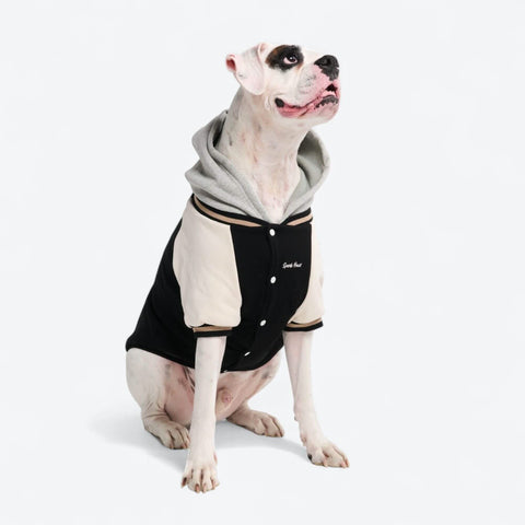 Dog Varsity Jackets