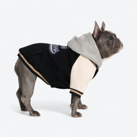 Dog Varsity Jackets