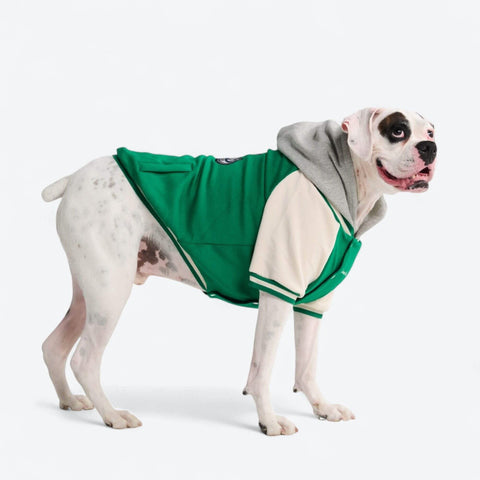 Dog Varsity Jackets