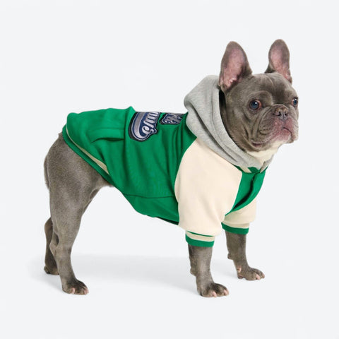 Dog Varsity Jackets
