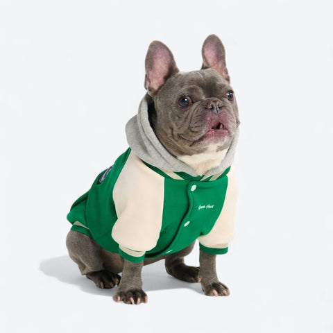 Dog Varsity Jackets