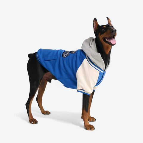 Dog Varsity Jackets
