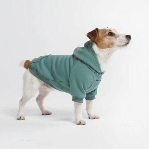 Essential Dog Hoodie - Teal