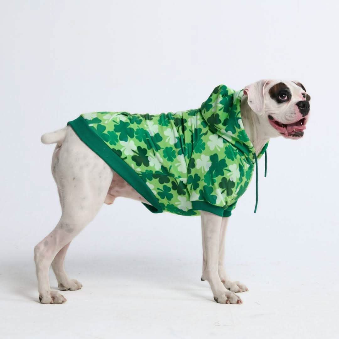 St. Paddy's Dog Hoodie - Shamrocks (Limited Edition)
