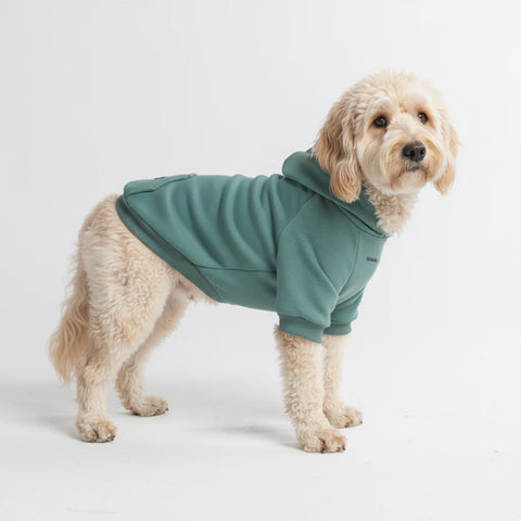 Essential Dog Hoodie - Teal