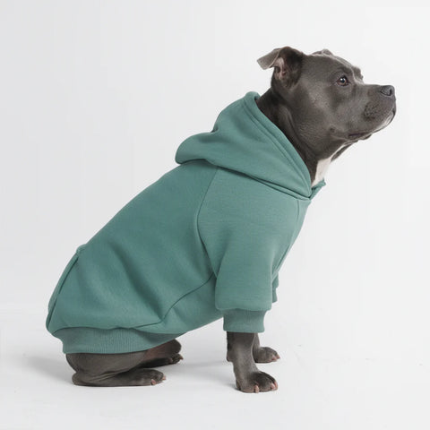 Essential Dog Hoodie - Teal