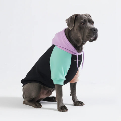 Cyber Punk Dog Hoodie