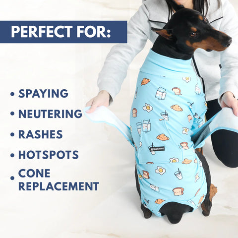 Dog Surgical Suit - Breakfast Blue