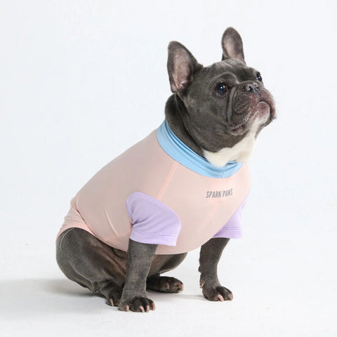 Sunblock Dog T-Shirt - Cotton Candy