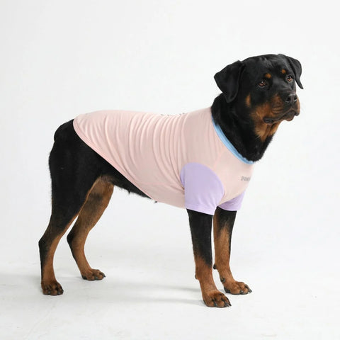Sunblock Dog T-Shirt - Cotton Candy