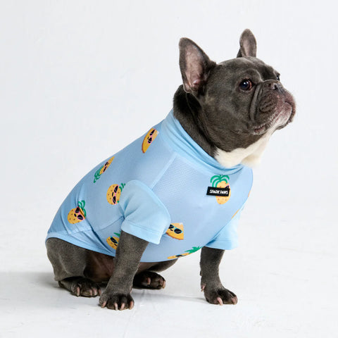 Sunblock Dog T-Shirt - Pineapple